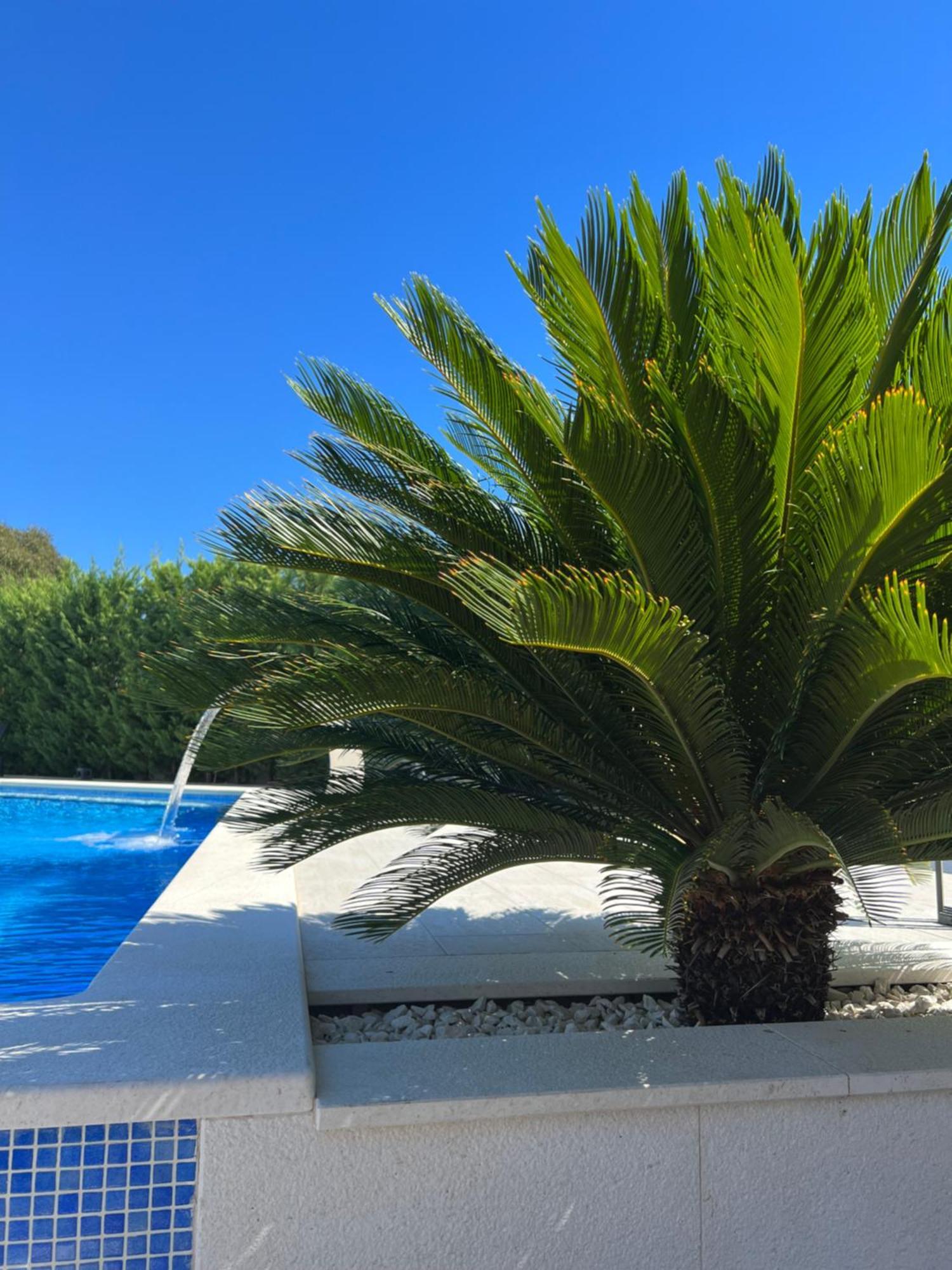 Holiday Luxury Resort Sundance Trogir Dış mekan fotoğraf